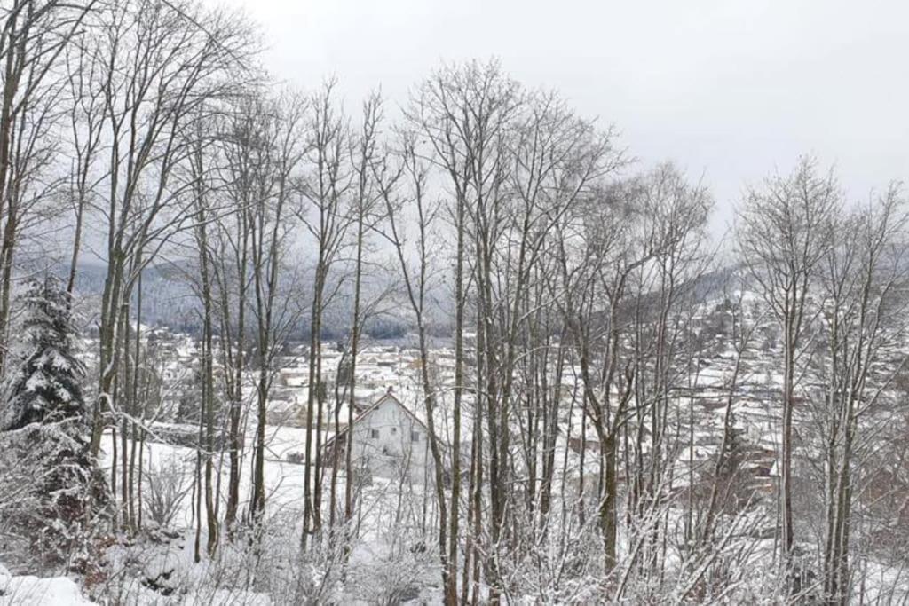 Appartement Le Balcon Des Roches 5 Personnes