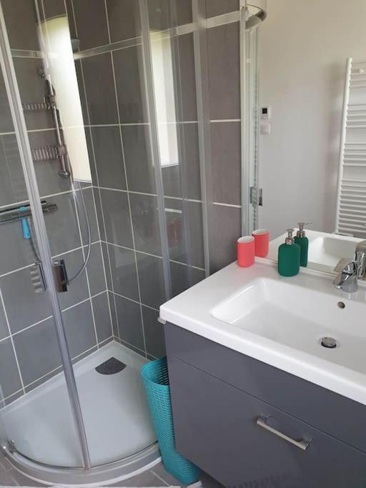 Le Balcon Des Roches 5 Personnes Appartement Gérardmer